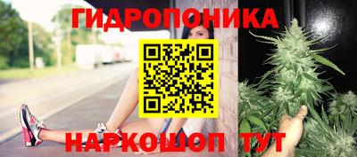 гашишное масло Сланцы
