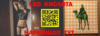 гашишное масло Сланцы