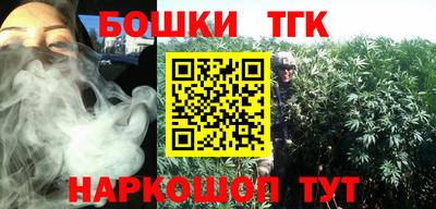 тгк Славгород