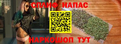 тгк Славгород