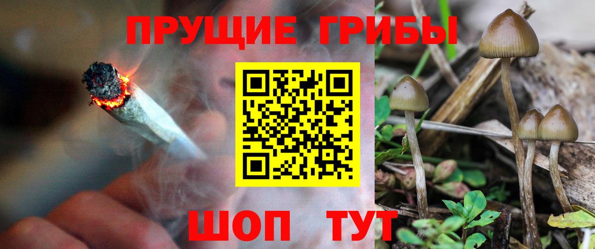 Барабинск  Псилоцибиновые грибы MAGIC MUSHROOMS  Вход с VPN  Галлюциногенные грибы Psilocybe 