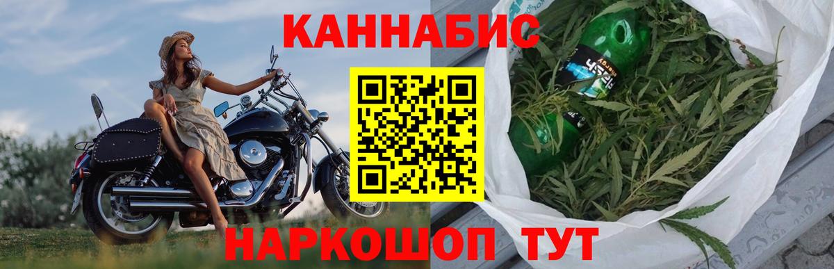 Каннабис сатива Барабинск